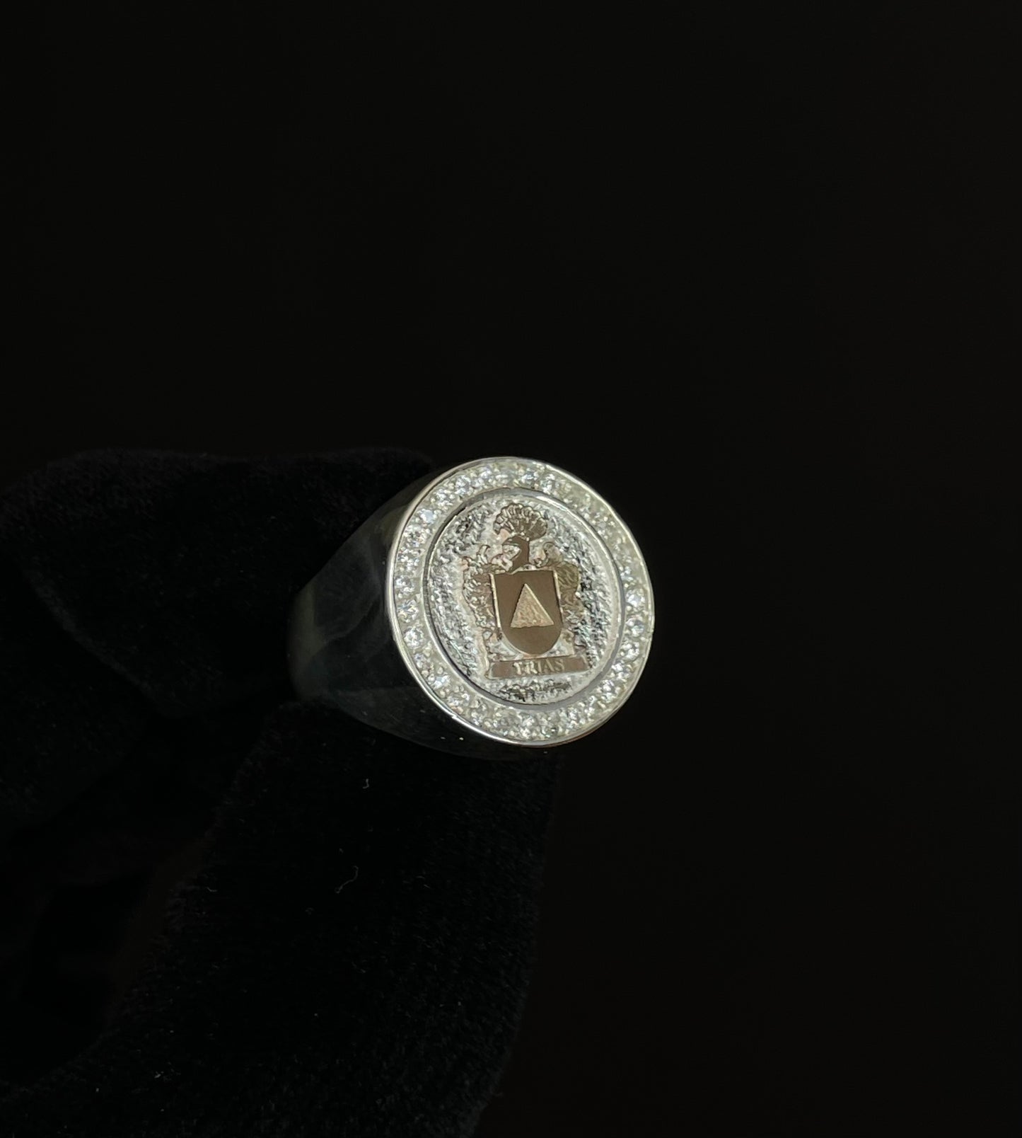 Anillo Escudo Familiar en Plata maciza y Escudo en Oro puro