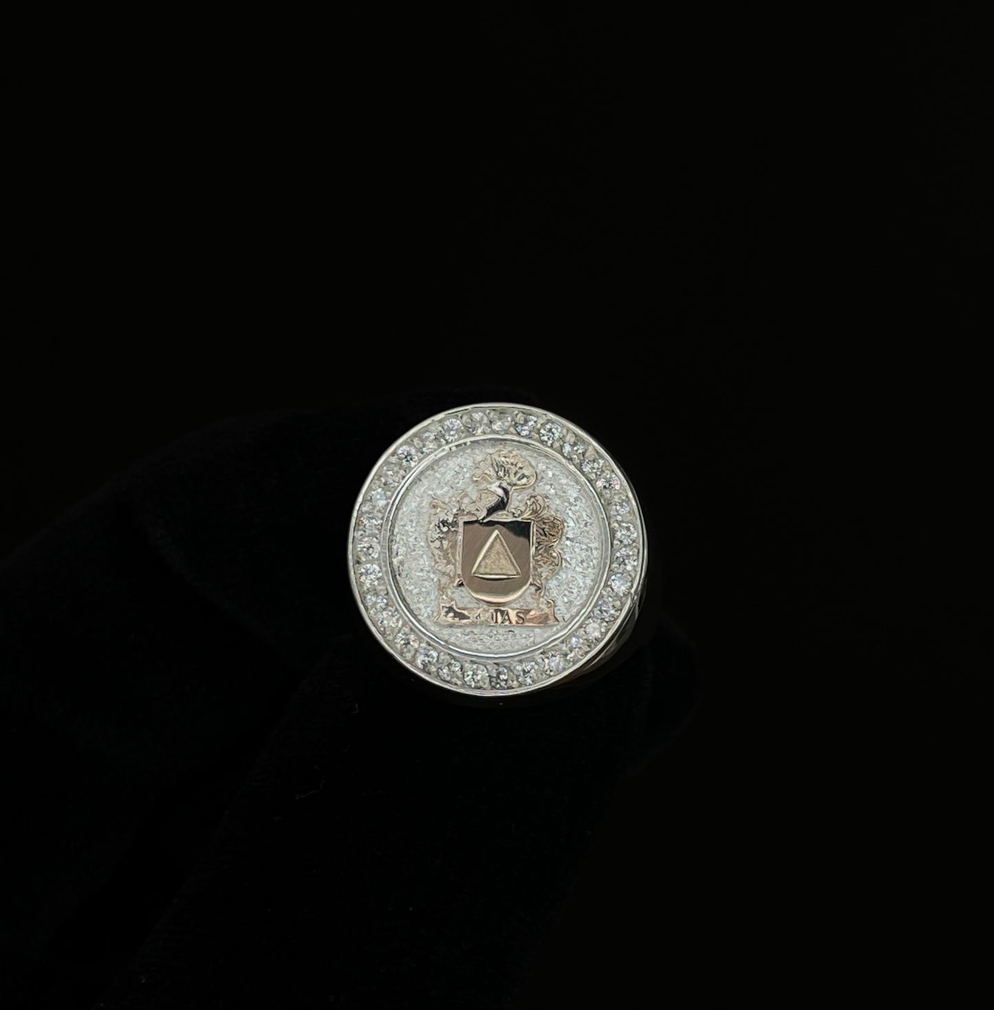 Anillo Escudo Familiar en Plata maciza y Escudo en Oro puro